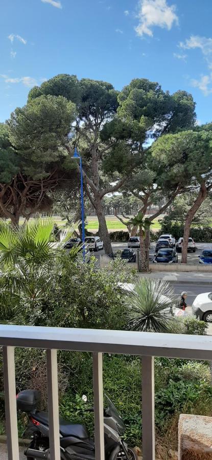 Les Iles D'Or Au Port De Hyeres Grand Studio Climatise Εξωτερικό φωτογραφία