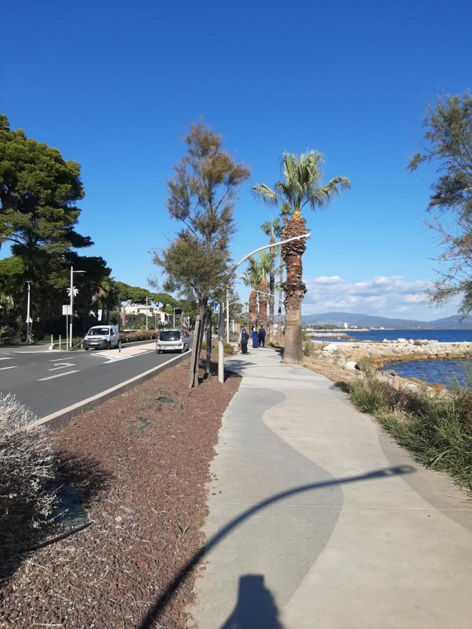 Les Iles D'Or Au Port De Hyeres Grand Studio Climatise Εξωτερικό φωτογραφία